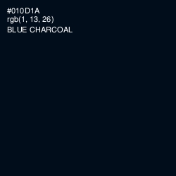 #010D1A - Blue Charcoal Color Image